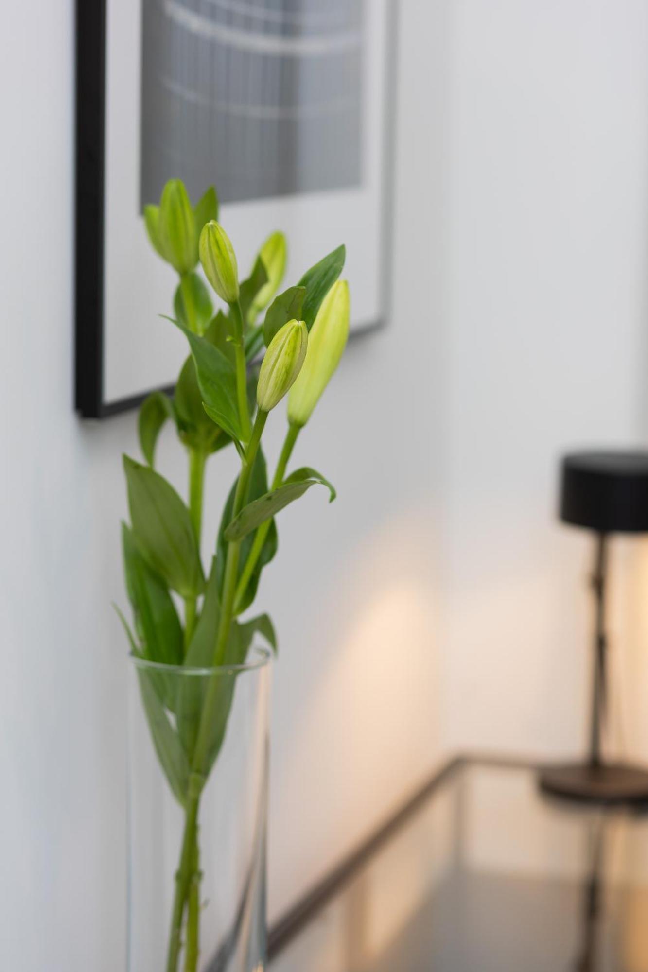 Cosy Dream City Center Apartment By Noclegi Renters ワルシャワ エクステリア 写真